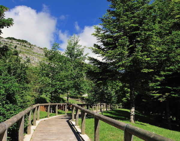 I 55 anni del Giardino della flora Appenninica di Capracotta (Isernia)