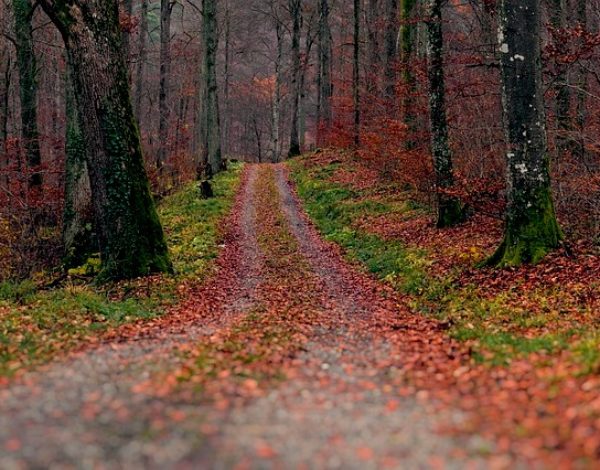 Autunno in Molise: concorso fotografico