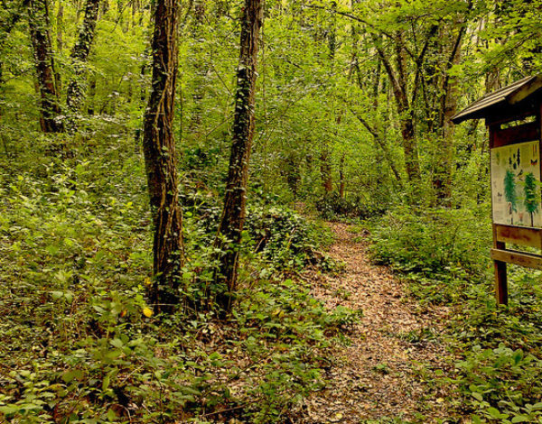 Una nuova riserva naturale in Molise