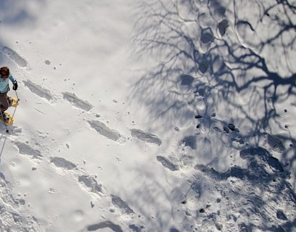 Scopri l’oasi del WWF in Molise. A gennaio gli under 18 entrano gratis