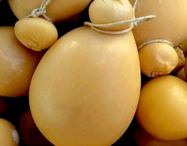 Caciocavallo: the king of Molise cheeses