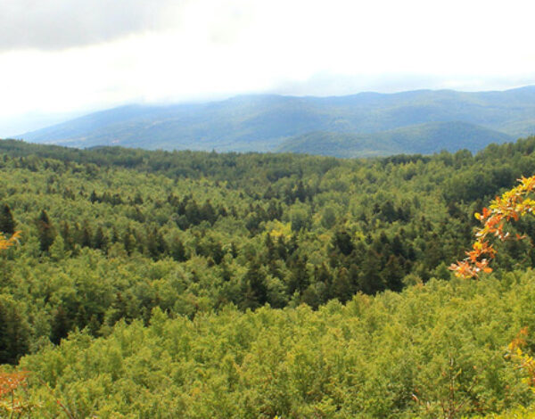 Scopri il Molise in cammino con San Francesco Caracciolo