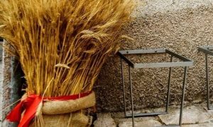 Il Molise “d’oro”, tra spighe e chicchi di grano