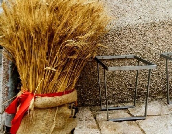 Il Molise “d’oro”, tra spighe e chicchi di grano